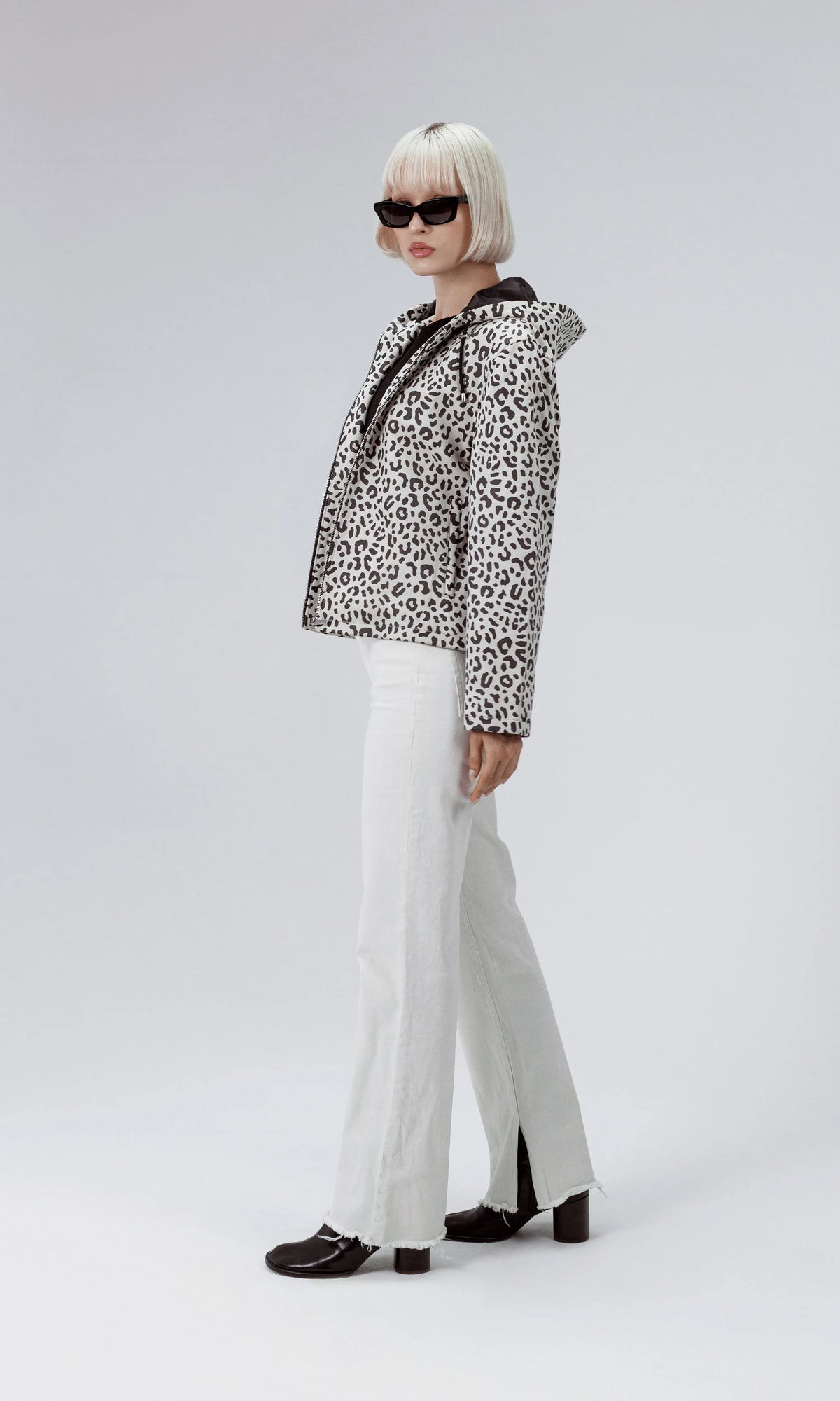 Arctic leopard